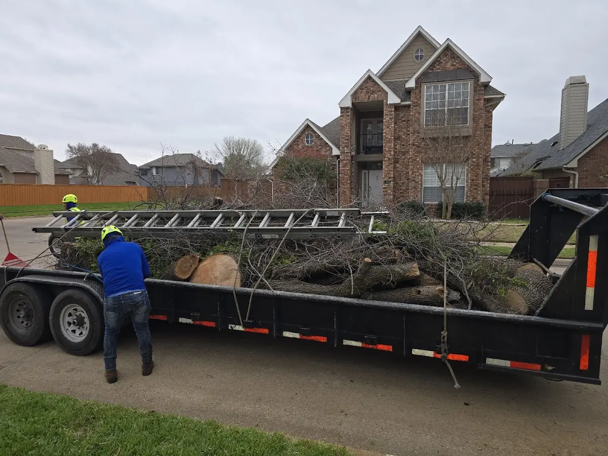 Expert Lot Clearing with proper safety equipment in Springfield